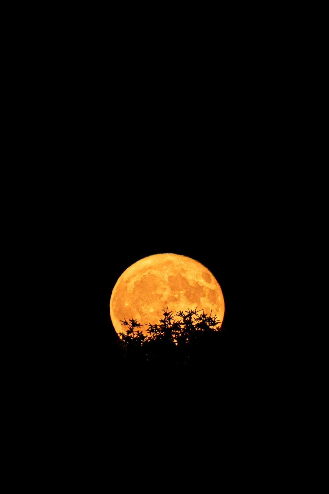 数智科技赋能电力迎峰度夏安全出产